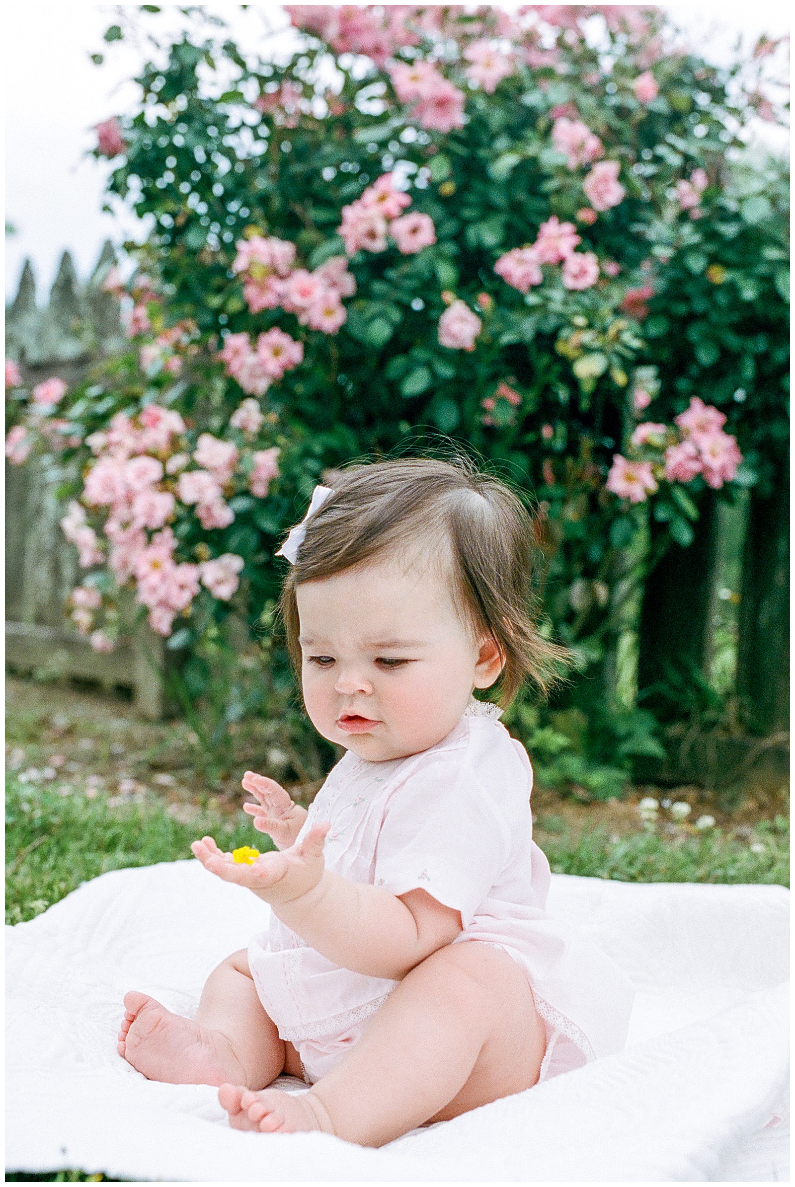 new iberia sitter photography session
